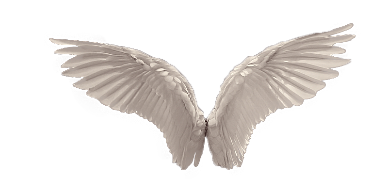 Wings Picture Transparent PNG Image