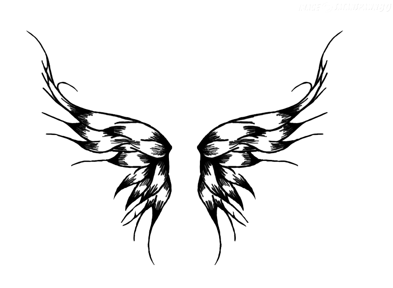 Wings Tattoos Png Picture Transparent PNG Image