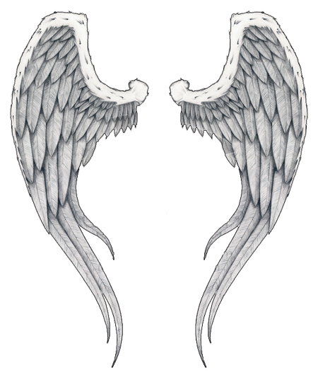 Wings Tattoos Png Image Transparent PNG Image