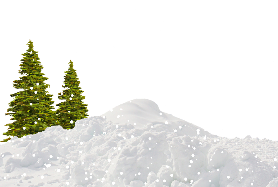 Tree Winter PNG File HD Transparent PNG Image