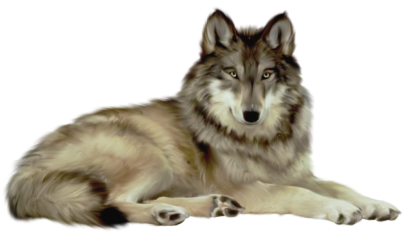 Wolf Png File Transparent PNG Image