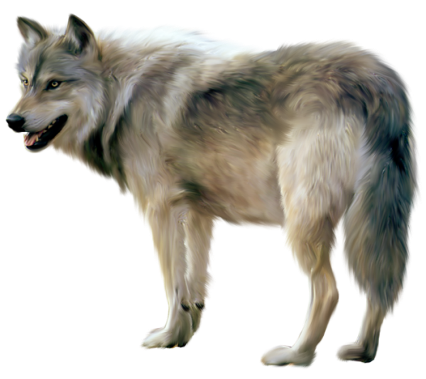 Wolf Free Png Image Transparent PNG Image