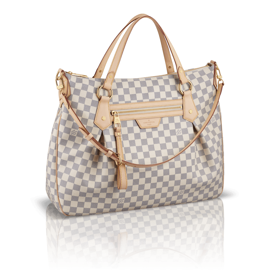 Women Bag Png Image Transparent PNG Image