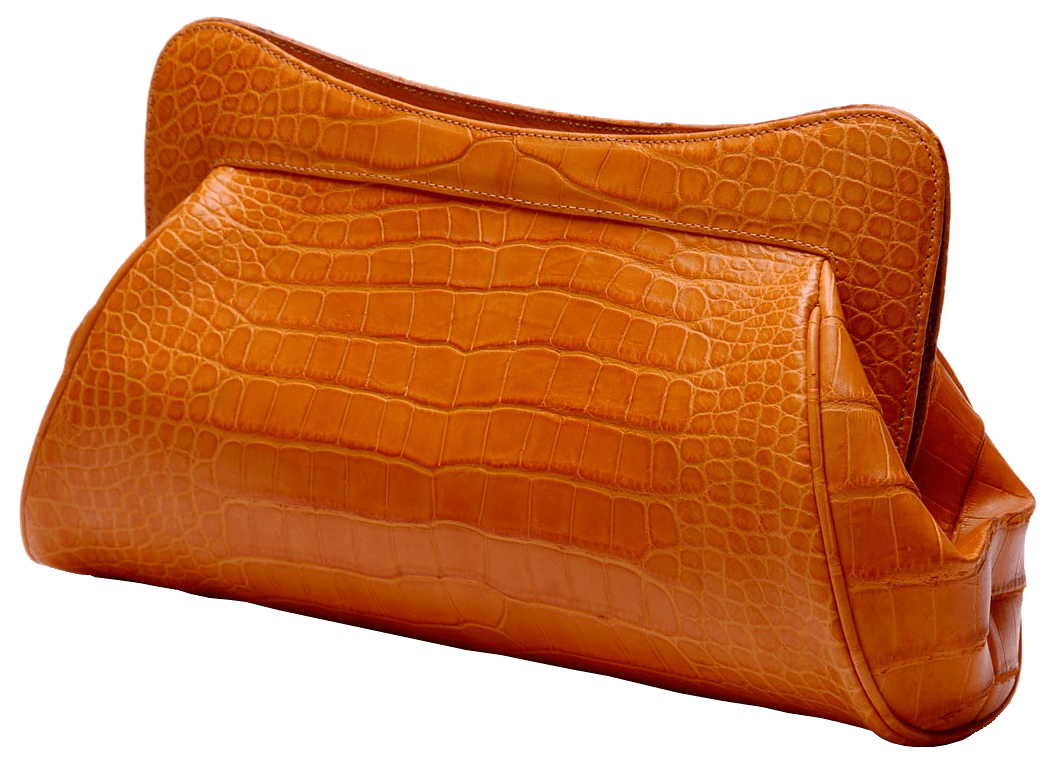 Leather Women Bag Png Image Transparent PNG Image