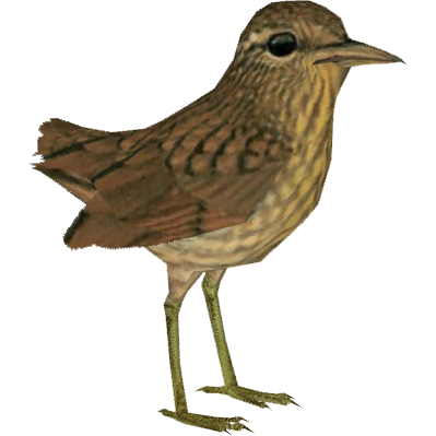 Wren Transparent Transparent PNG Image