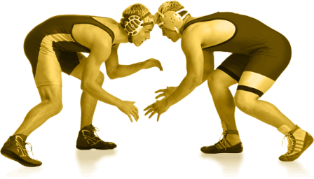 Wrestling Transparent Transparent PNG Image