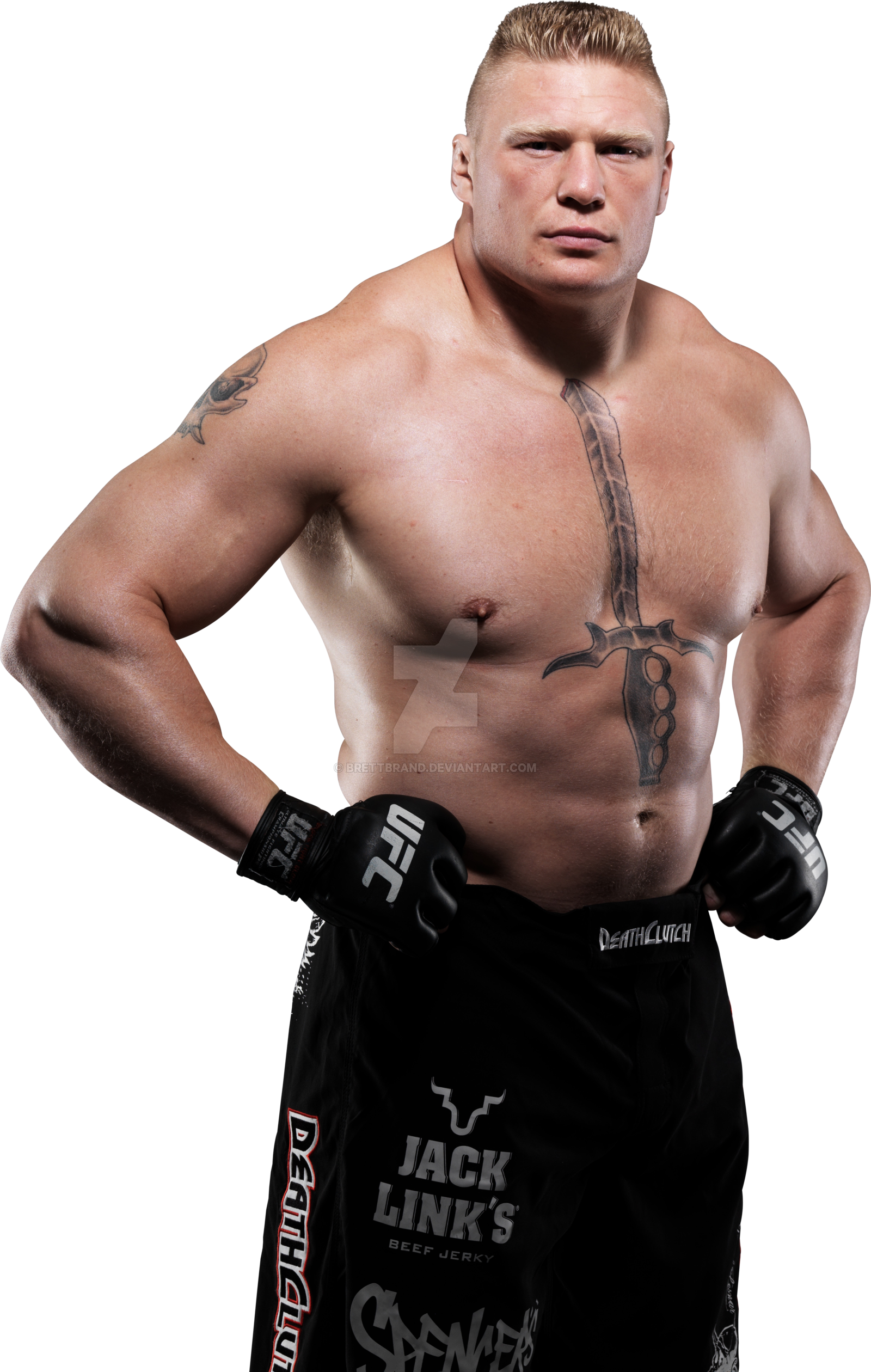 Brock Lesnar Transparent Image Transparent PNG Image