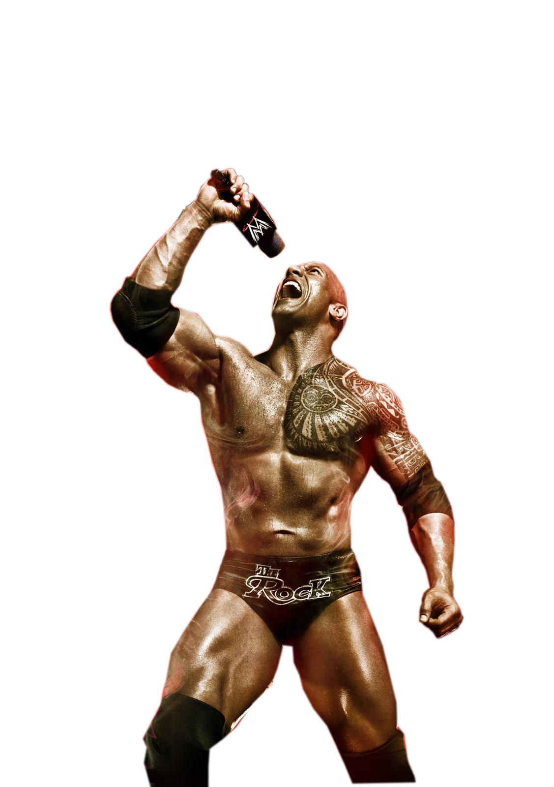 The Rock File Transparent PNG Image