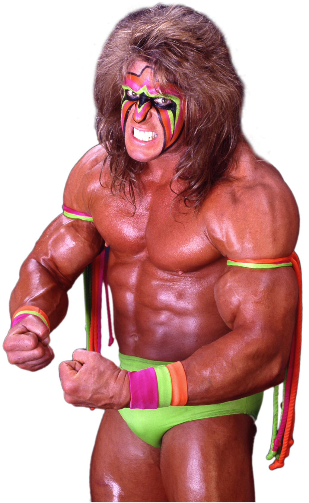 The Ultimate Warrior File Transparent PNG Image