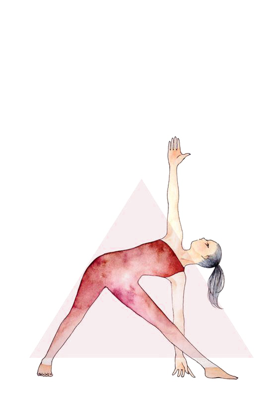 Trikonasana Yoga Drawing Illustration HD Image Free PNG Transparent PNG Image