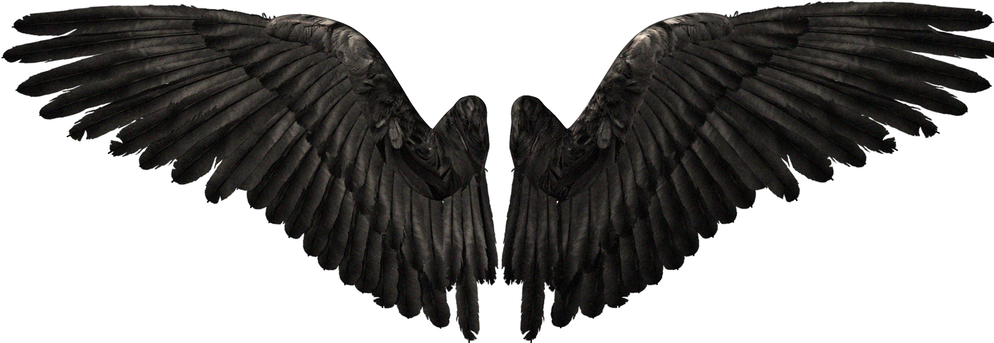 Devil Youtube Wings Angel Free Download PNG HD Transparent PNG Image