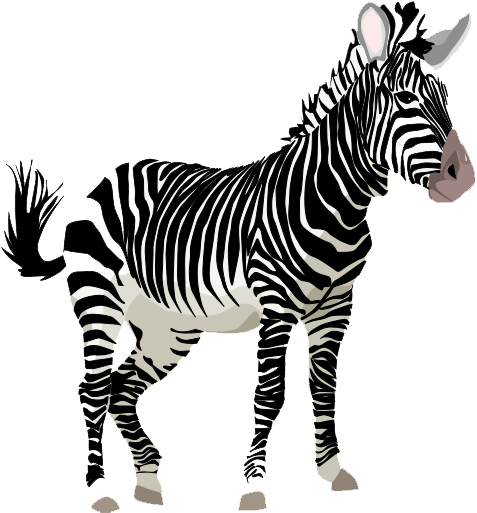 Zebra Image Transparent PNG Image