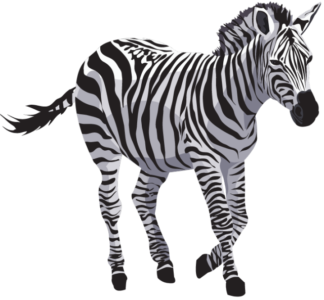 Zebra File Transparent PNG Image